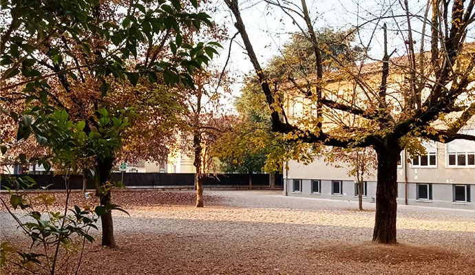 Scuola primaria Colombo - Sportello famiglia ats veneto 08 Asolo